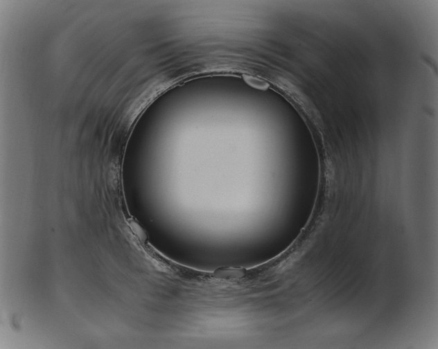 X0000103480993200809121646