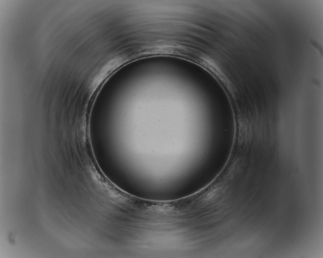 X0000103480994200809121646