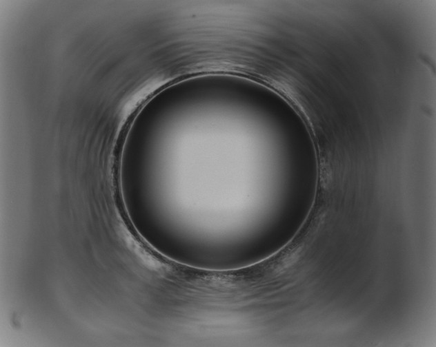 X0000103480995200809121646