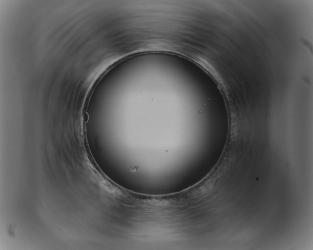 X0000103480996200809121646