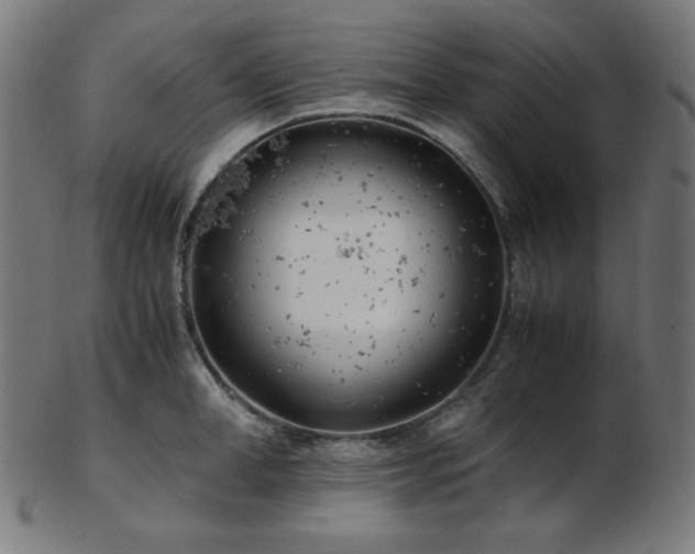 X0000103480998200809121646