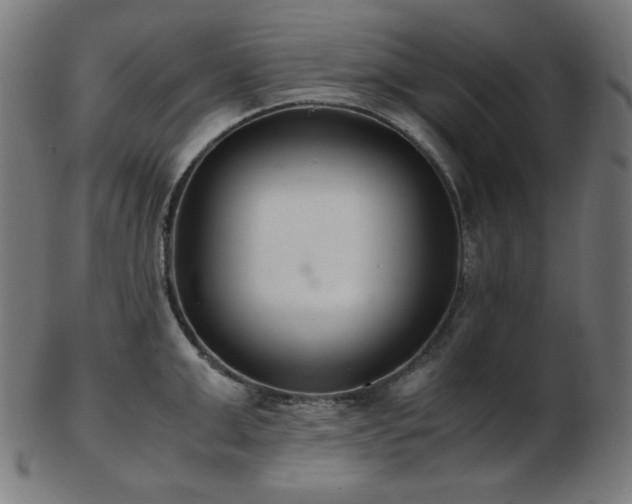 X0000103480999200809121646