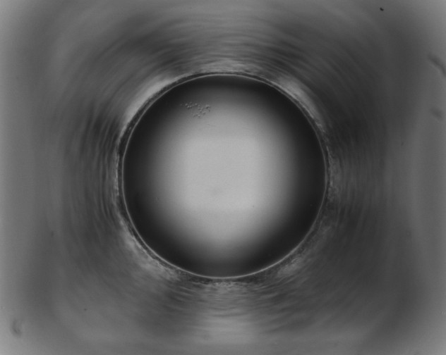 X0000103481000200809121646
