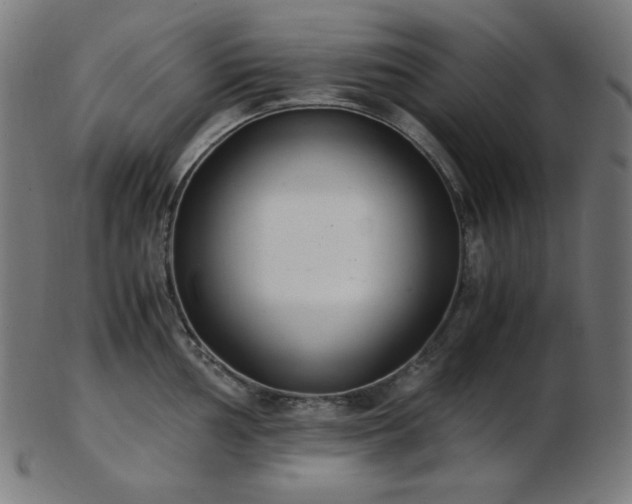 X0000103481002200809121646