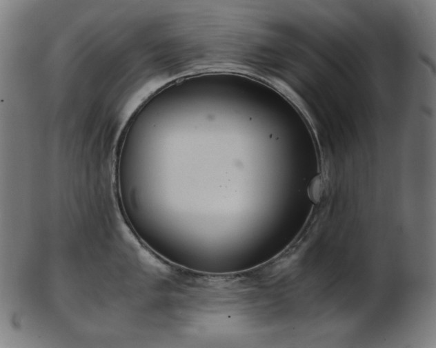 X0000103481005200809121646