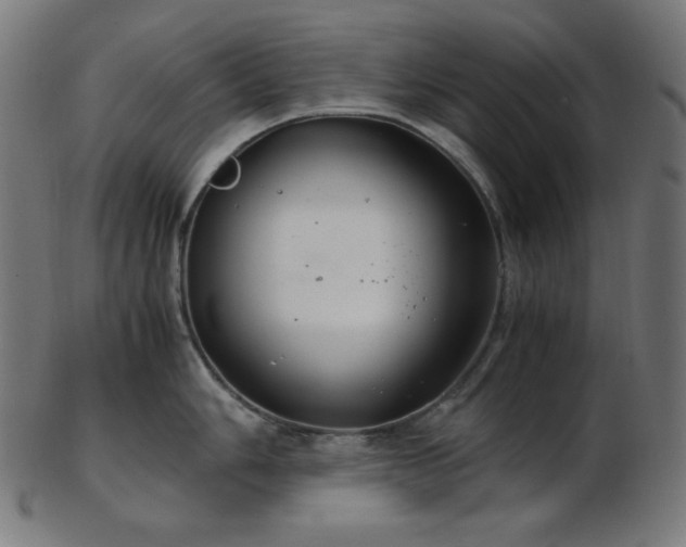 X0000103481006200809121646