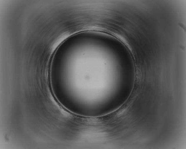 X0000103481007200809121646