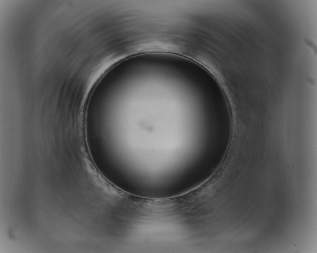 X0000103481008200809121646