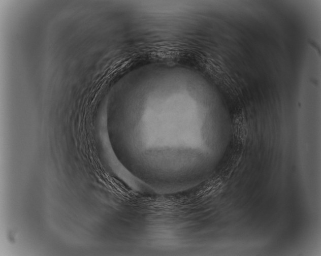 X0000103481009200809121645