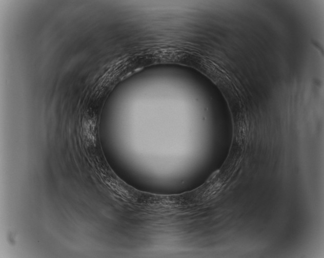X0000103481010200809121645
