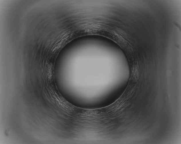 X0000103481012200809121645