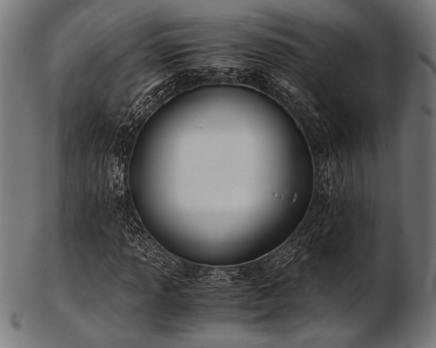 X0000103481013200809121645