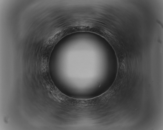 X0000103481014200809121645