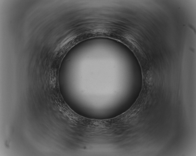 X0000103481015200809121645