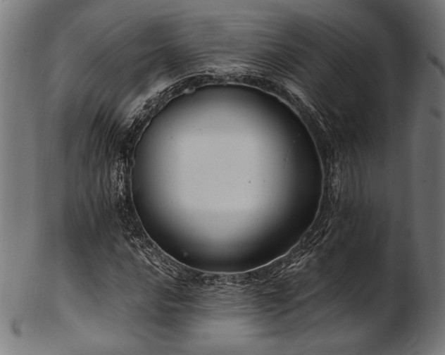 X0000103481016200809121645
