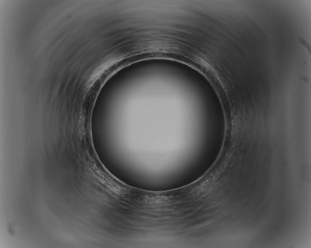 X0000103481019200809121645