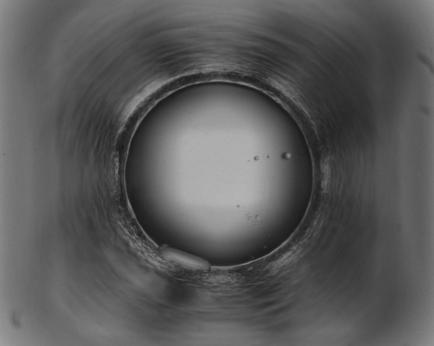 X0000103481021200809121645