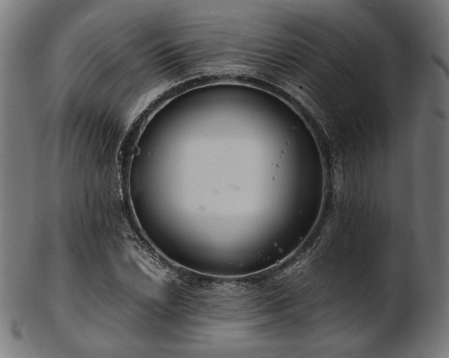 X0000103481022200809121645