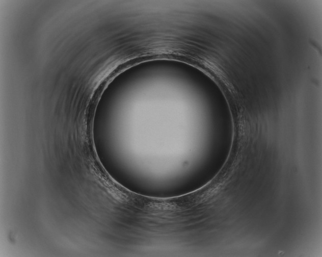 X0000103481023200809121645