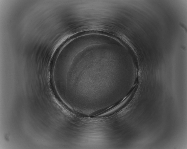 X0000103481024200809121645