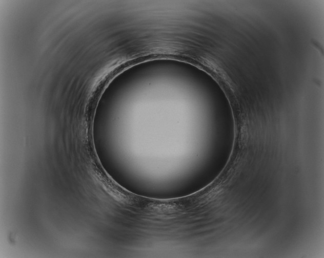 X0000103481027200809121645
