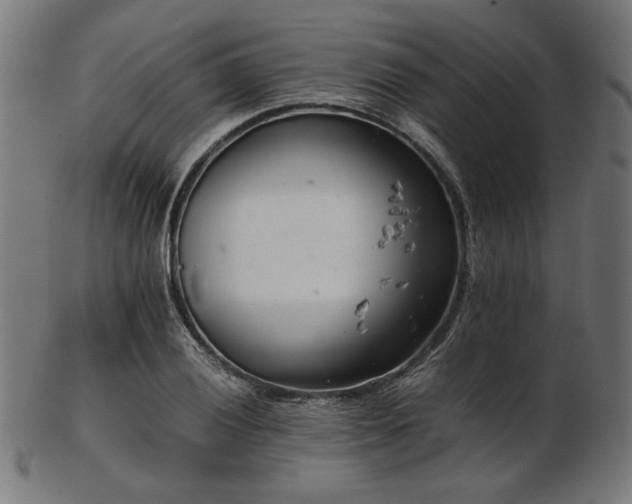 X0000103481028200809121645