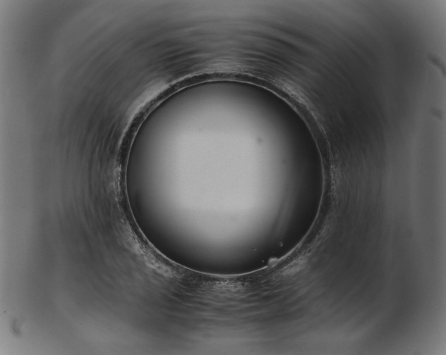 X0000103481029200809121645