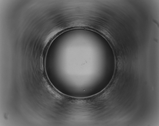 X0000103481030200809121645