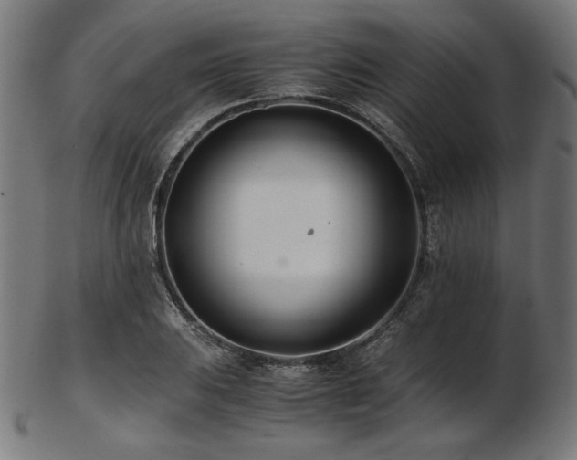 X0000103481031200809121645