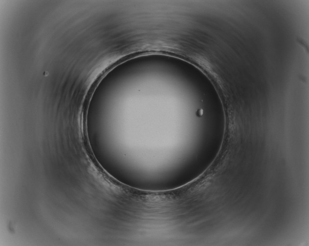 X0000103481032200809121645