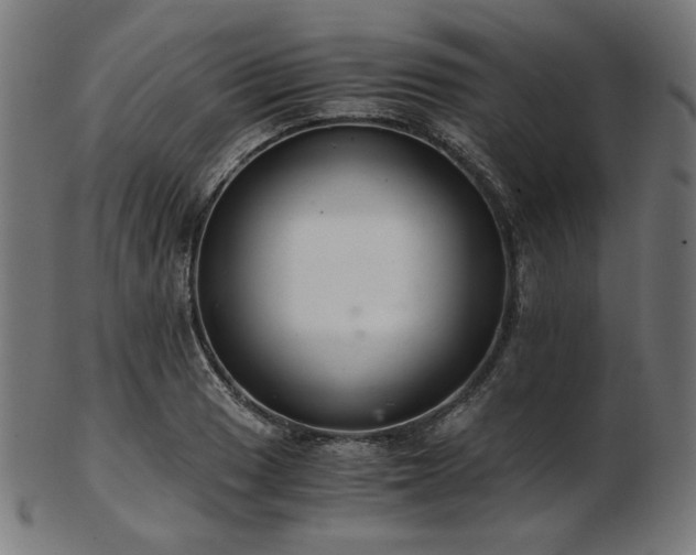 X0000103481033200809121645