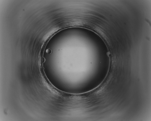 X0000103481034200809121645