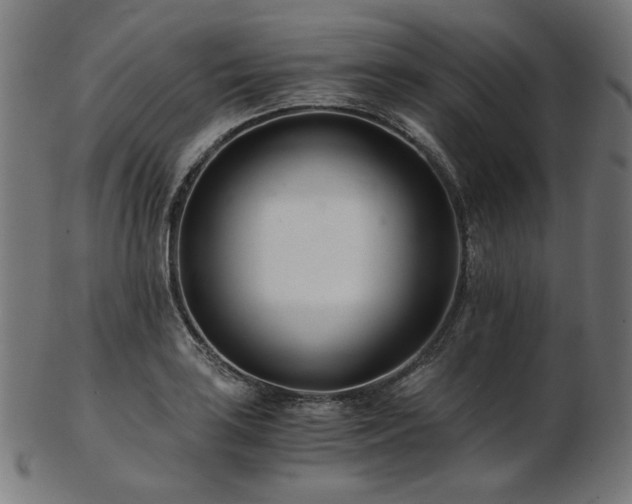 X0000103481035200809121645