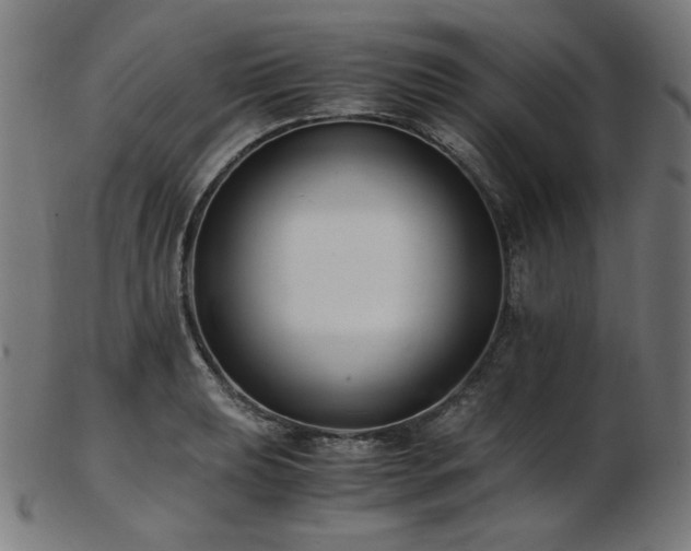 X0000103481039200809121645