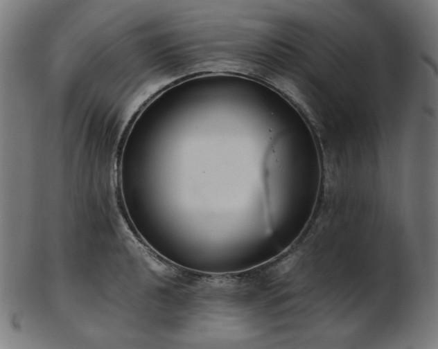 X0000103481040200809121645