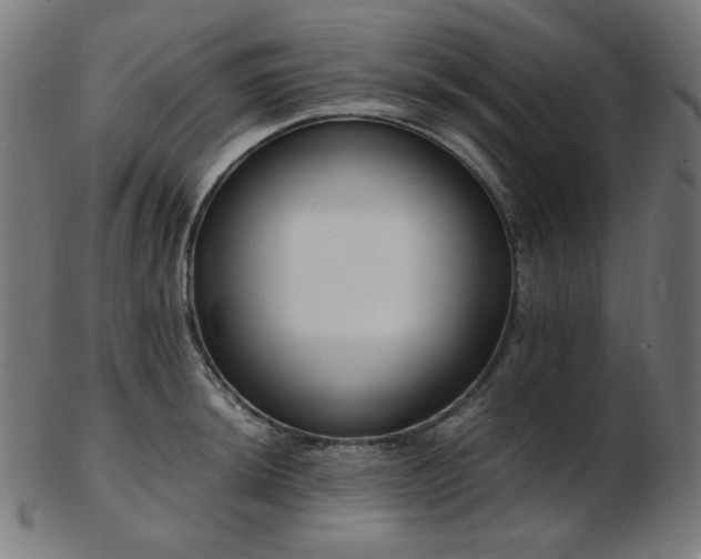 X0000103481044200809121645