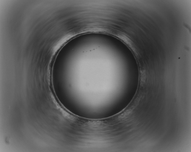 X0000103481046200809121646