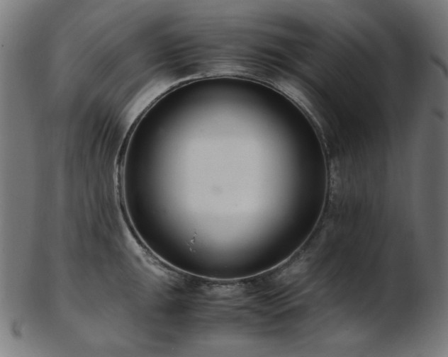X0000103481047200809121646