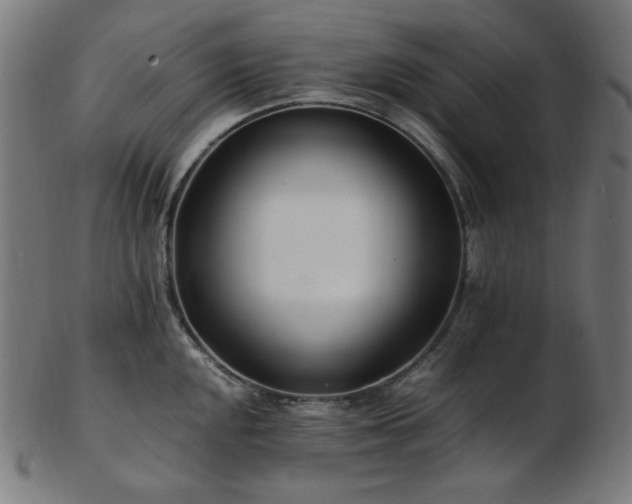 X0000103481048200809121646