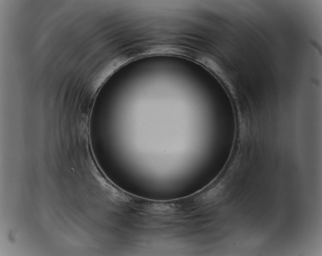 X0000103481049200809121646