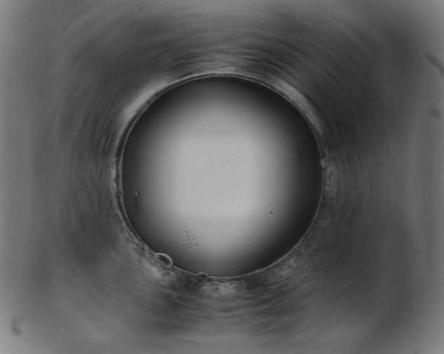 X0000103481051200809121646