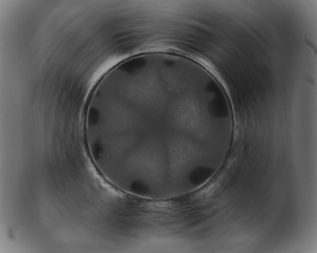 X0000103481053200809121646