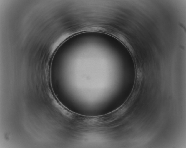 X0000103481054200809121646
