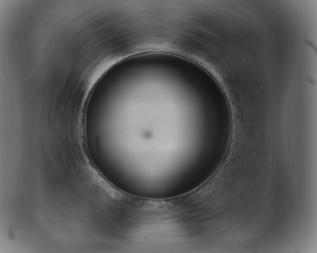 X0000103481056200809121646