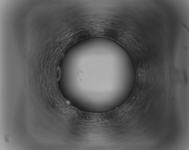 X0000103481057200809121645