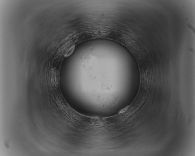 X0000103481058200809121645