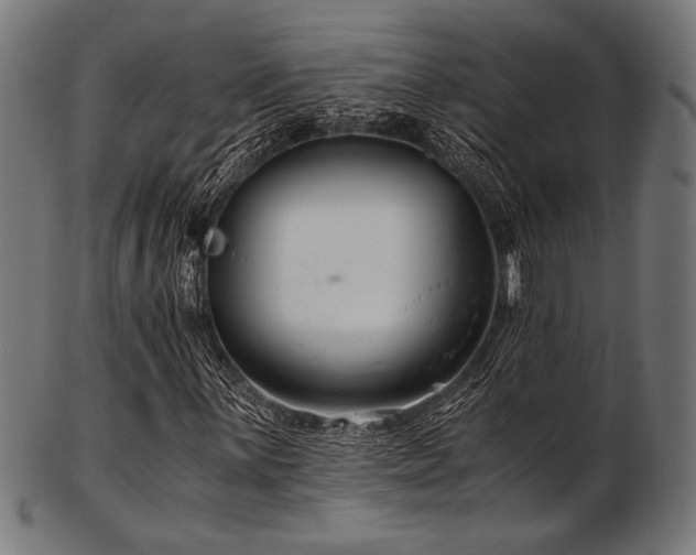X0000103481059200809121645