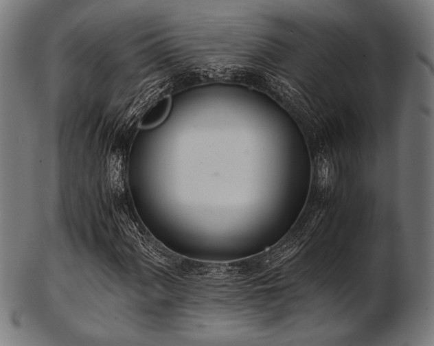 X0000103481060200809121645