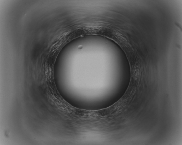 X0000103481061200809121645
