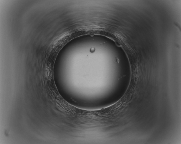 X0000103481063200809121645